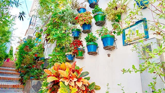 Outside Ideas That Increase Property Value - Even in Gibraltar’s Tight Spaces Image