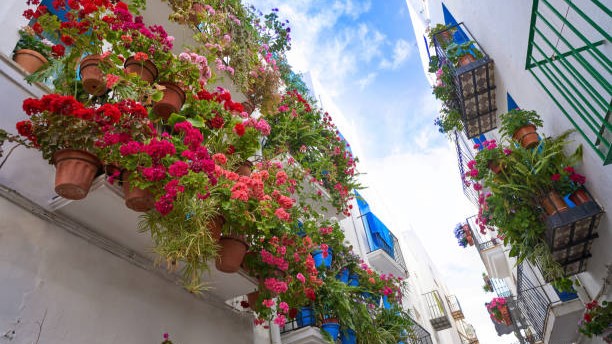 Five reasons why spring is an ideal time to sell Image