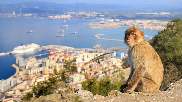 What is Gibraltar like to live in? Image