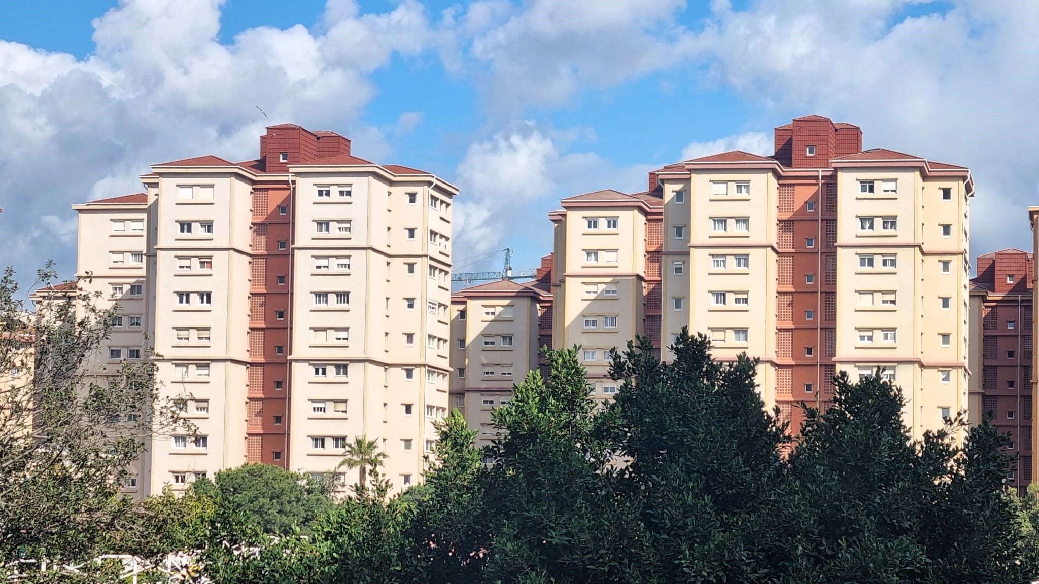 Why People Are Moving to Harbour Views - and why you should too. Image