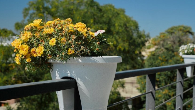 How The upcoming Bank Holiday season Defines the Property Market Image