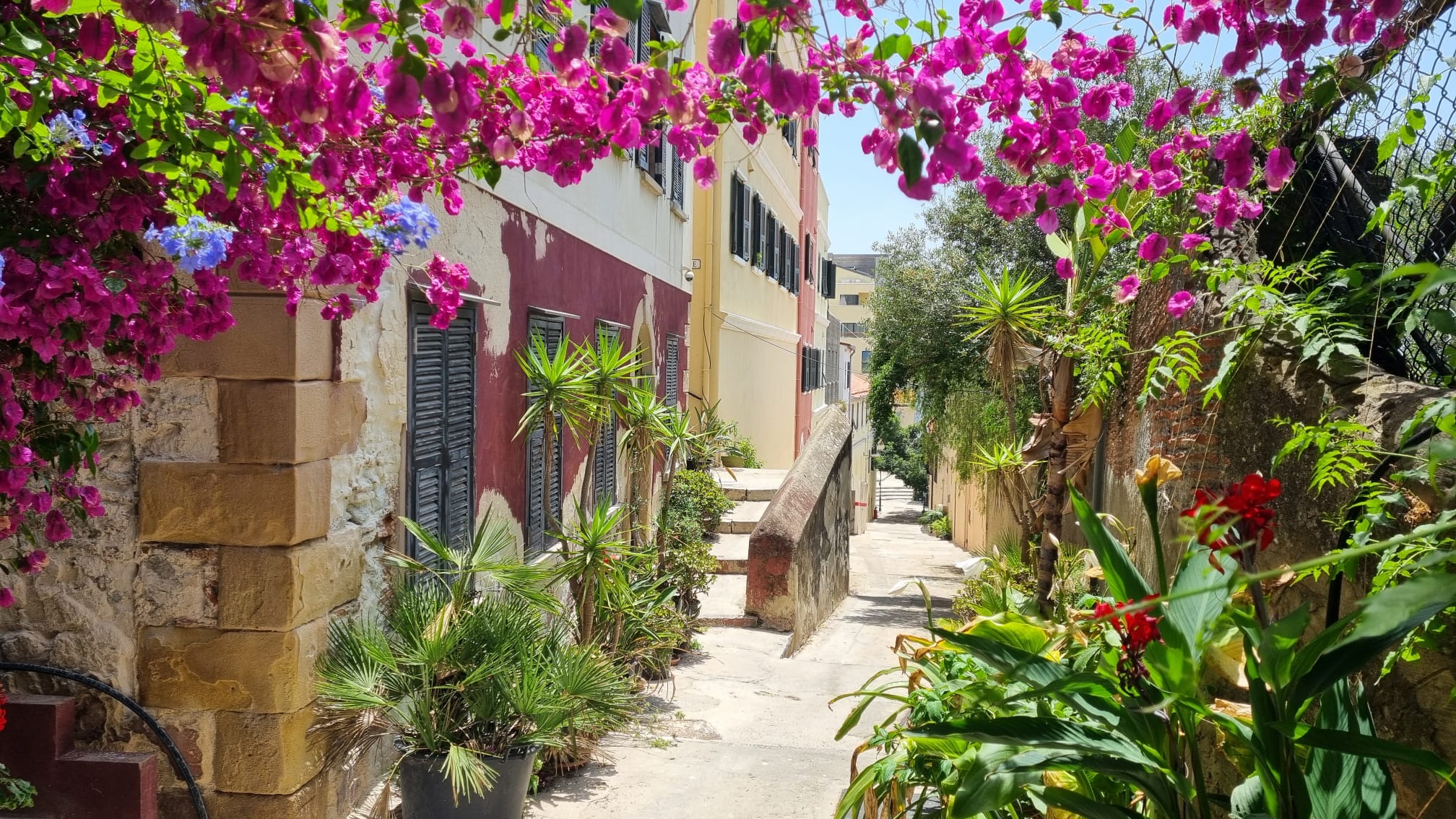 Why Gibraltar's Property Market Always Heats Up in Summer - And This Year Is No Exception Image