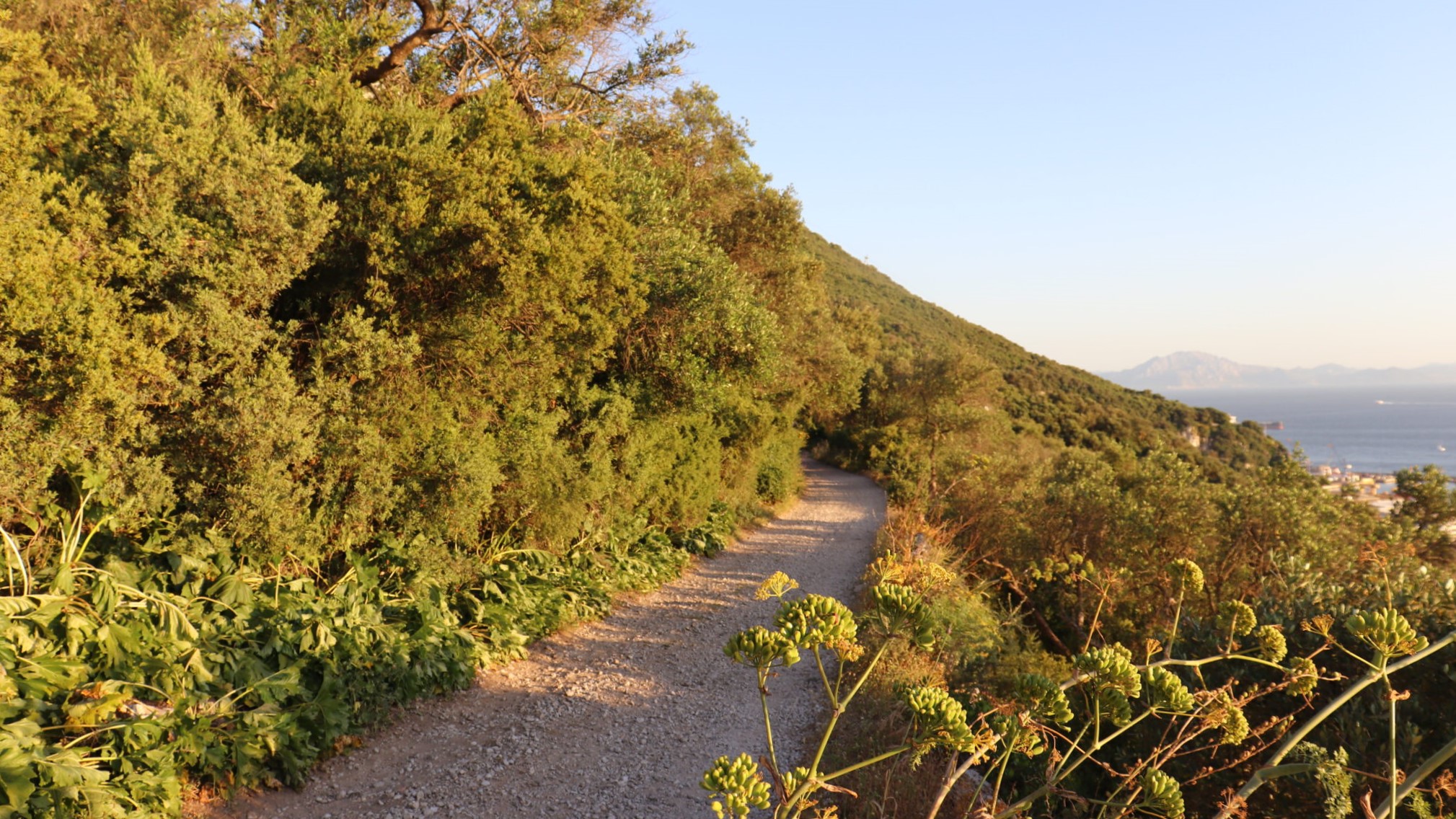 6 Best Properties for a Post-Christmas Dinner Walk Image