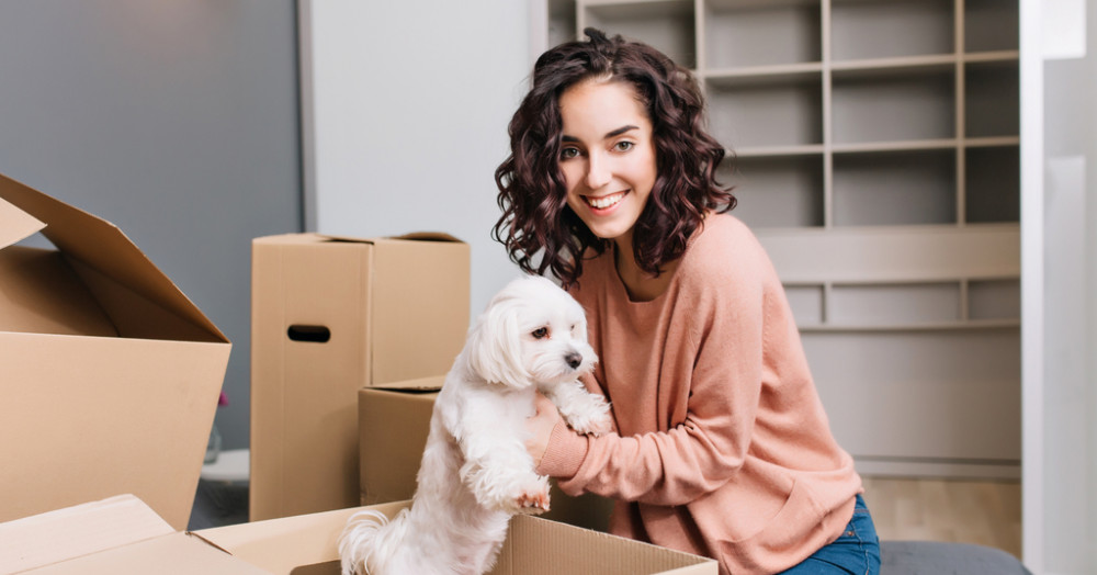 Top tips for renting with a pet in Gibraltar Image